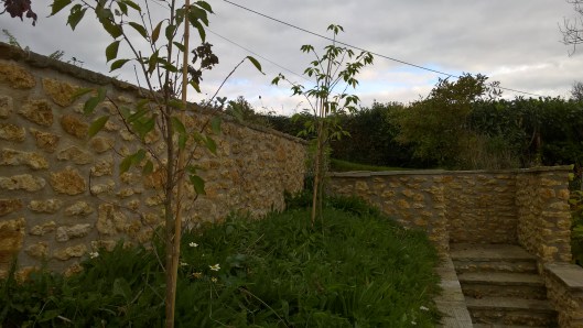 wp_20161103_11_59_41_pro