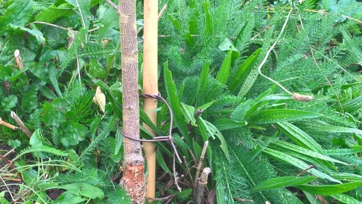 wp_20161103_12_00_07_pro