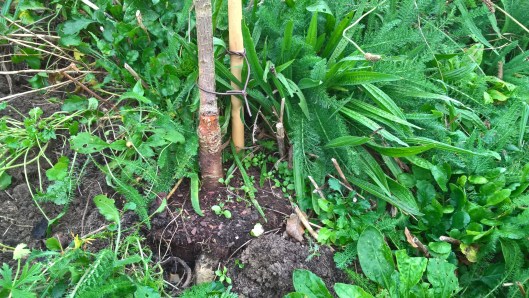 wp_20161103_12_00_24_pro