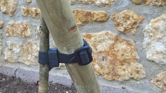 wp_20161103_12_00_55_pro