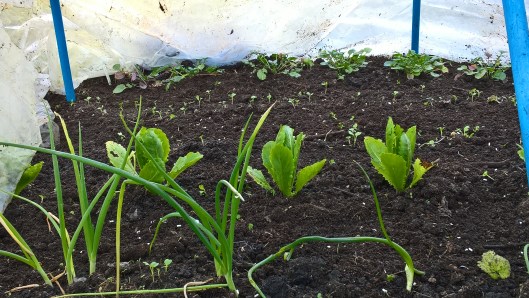 wp_20161105_14_19_37_pro