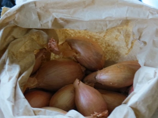 shallots