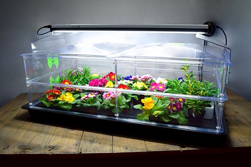 100w-deluxe-double-height-vitopod-heated-propagator-with-lights-support-kit-1